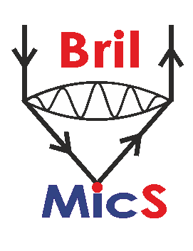 logo Brilmics